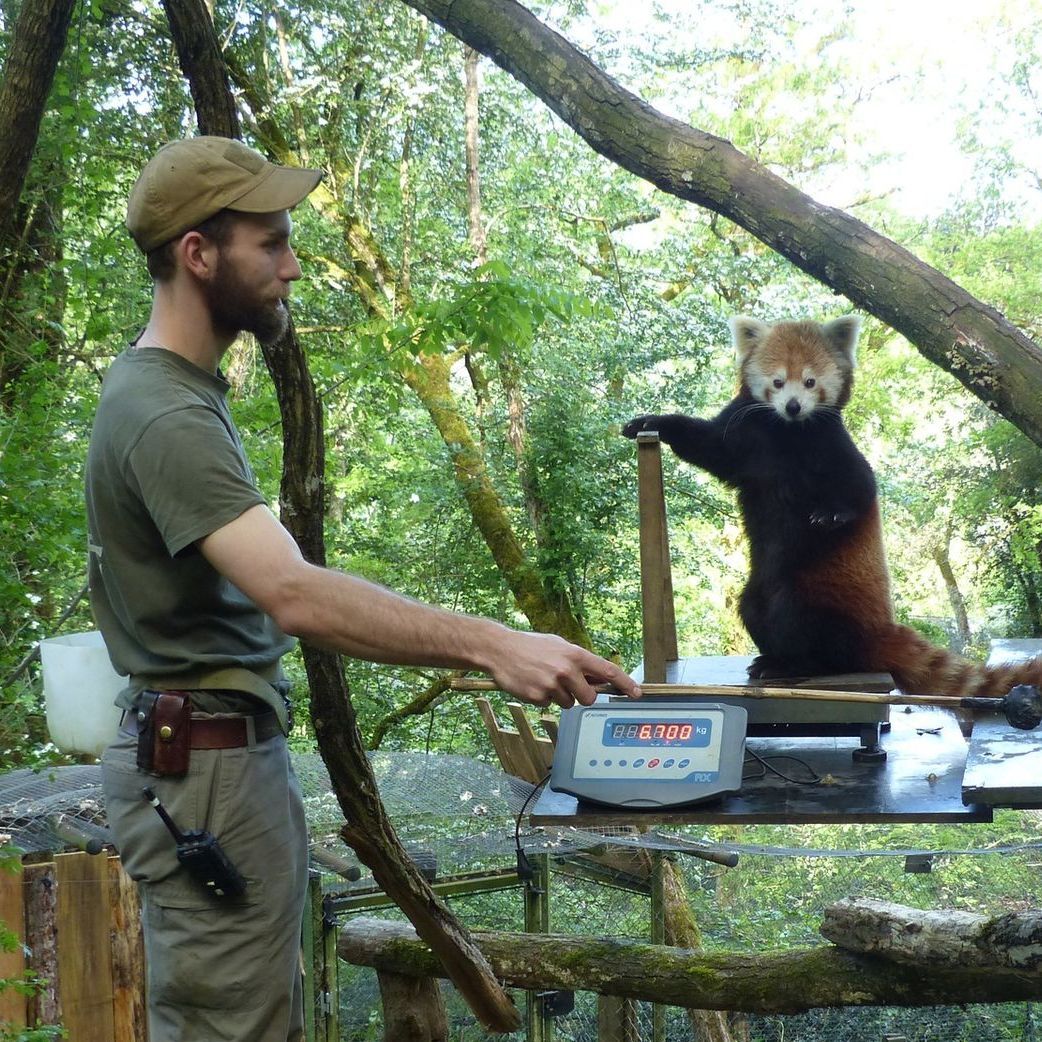 Romain Dieudé, soigneur animalier