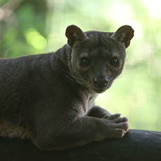 Réserve Zoologique de Calviac