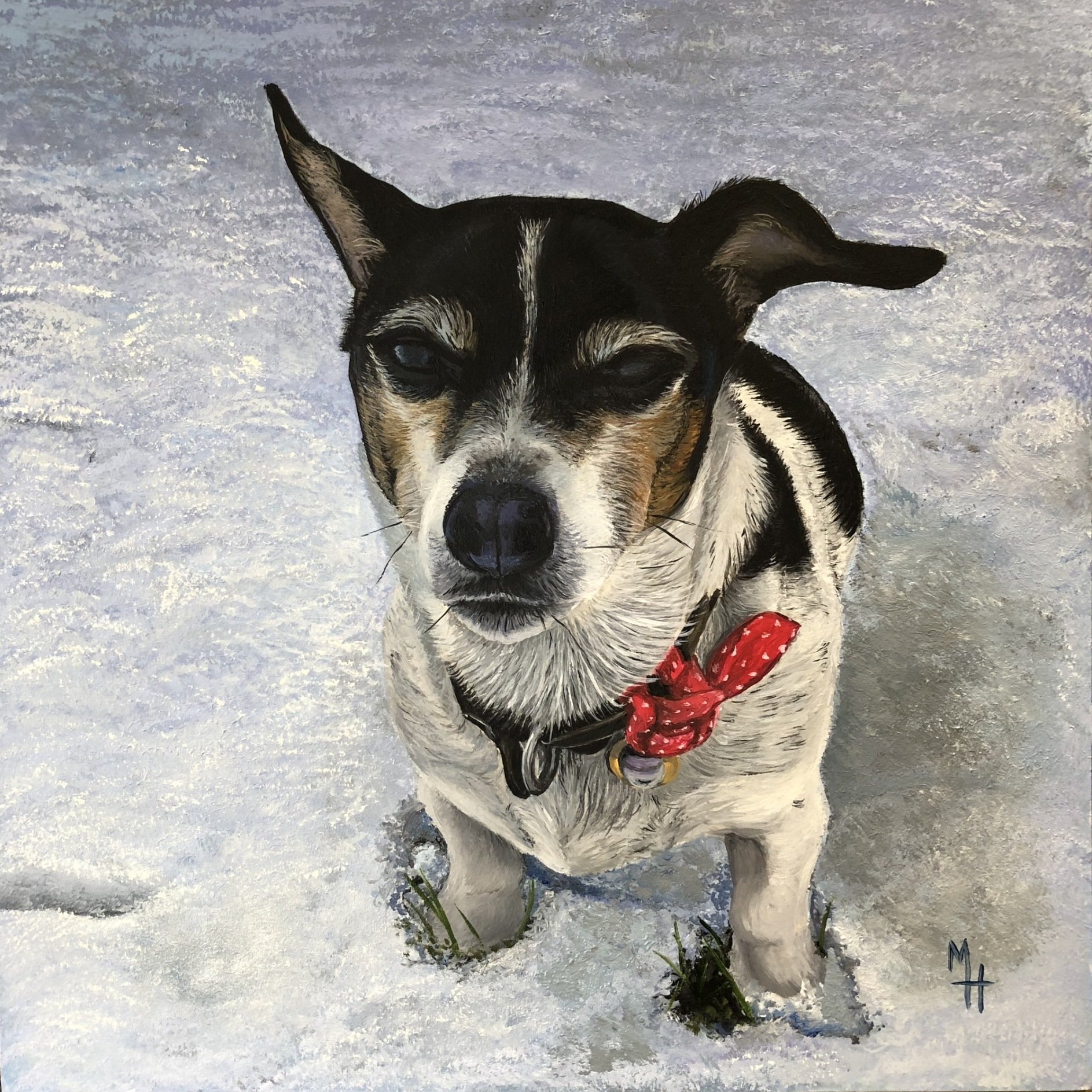 Jack Russell Terrier - Ted - October 2018