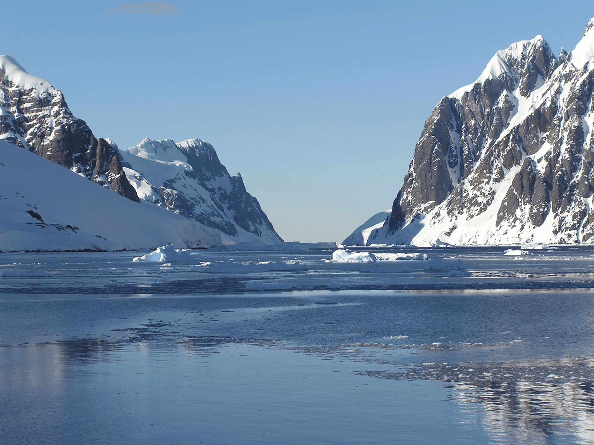 Photo (c) Alan M. Davis