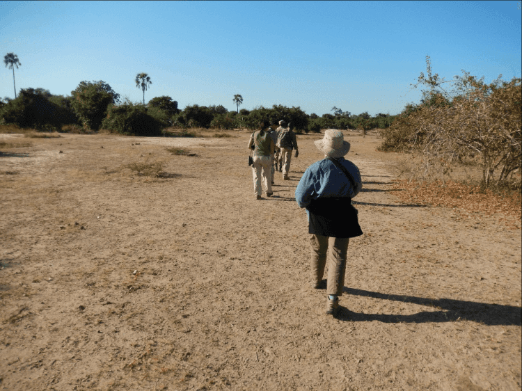 Photo (c) Alan M. Davis