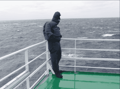 Photo (c) Alan M. Davis