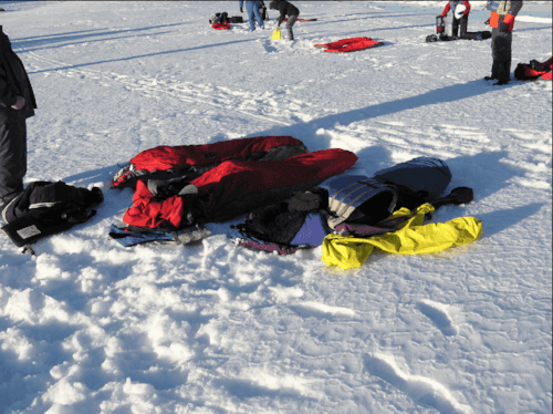 Photo (c) Alan M. Davis