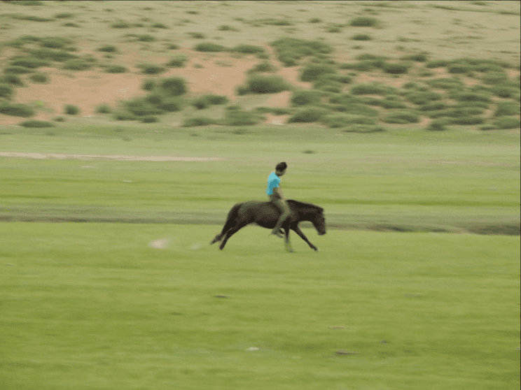 Photo (c) Alan M. Davis