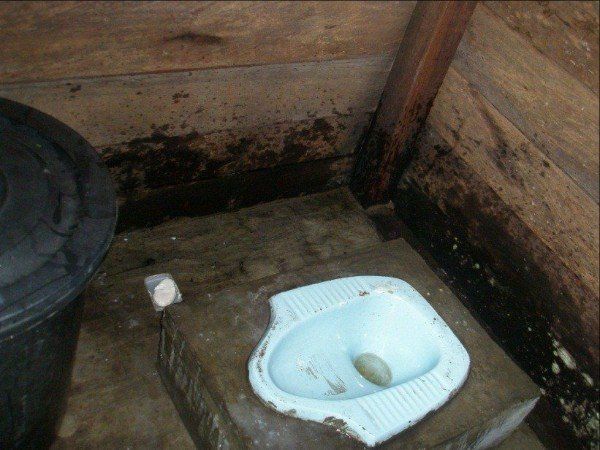 Photo (c) Alan M. Davis