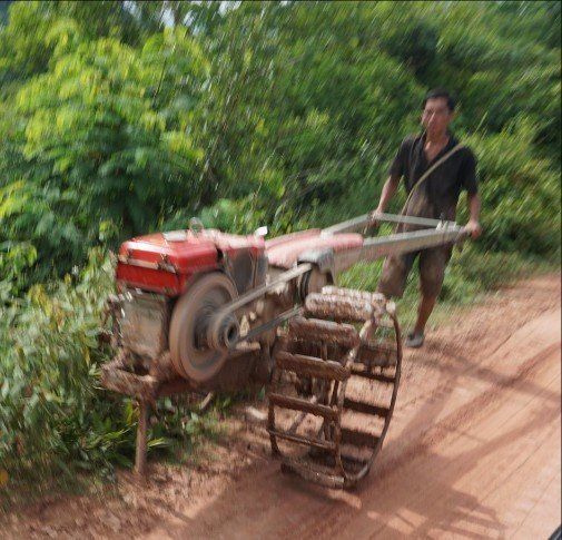 Photo (c) Alan M. Davis