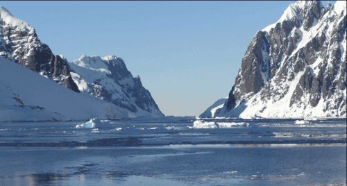 Photo (c) Alan M. Davis