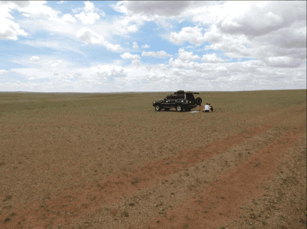 Photo (c) Alan M. Davis