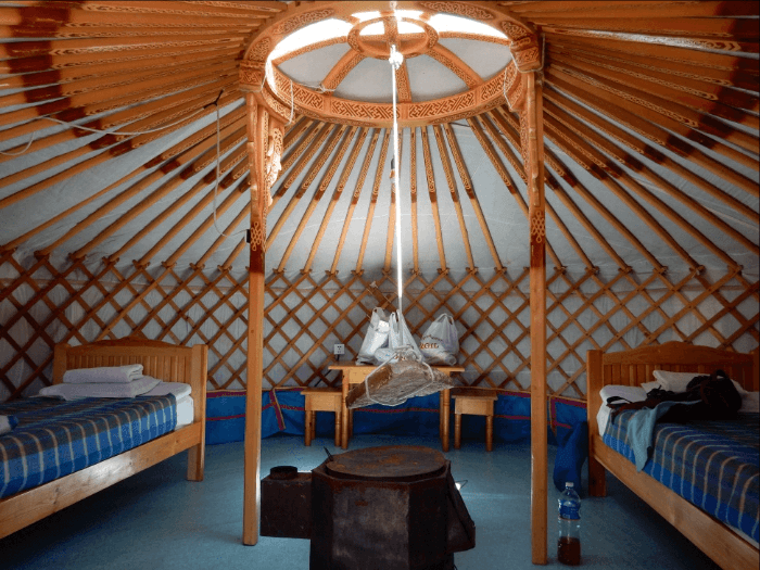 Photo (c) Alan M. Davis