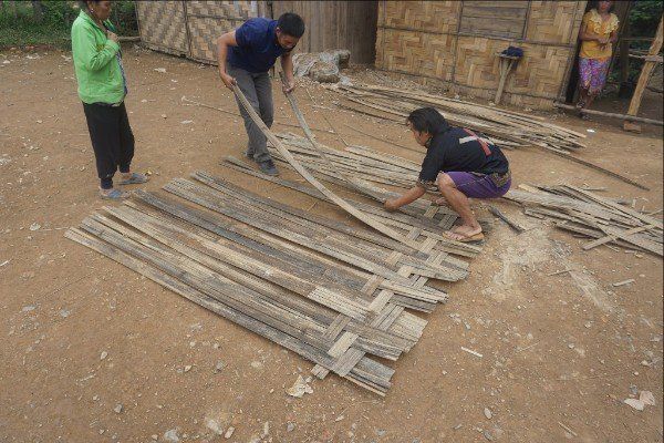 Photo (c) Alan M. Davis