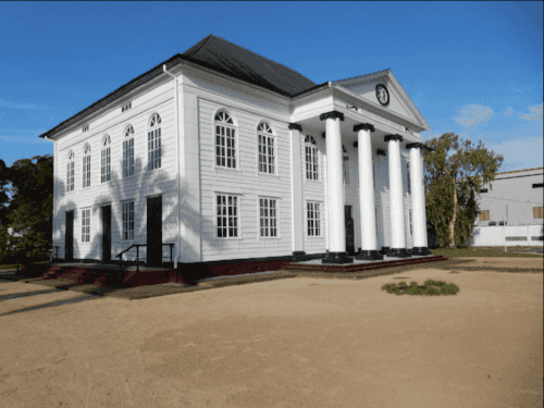 Photo (c) Alan M. Davis