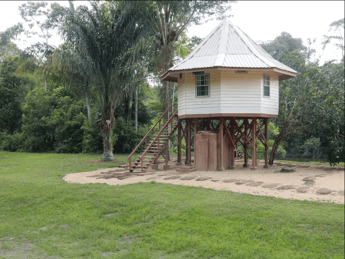 Photo (c) Alan M. Davis