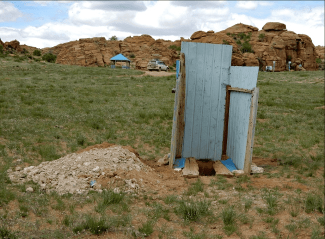 Photo (c) Alan M. Davis