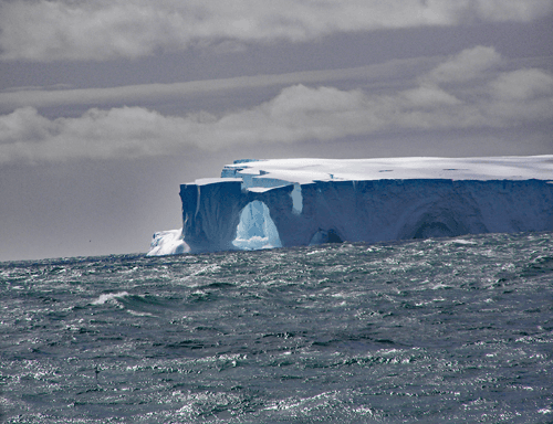 Photo (c) Alan M. Davis