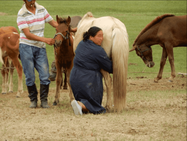 Photo (c) Alan M. Davis