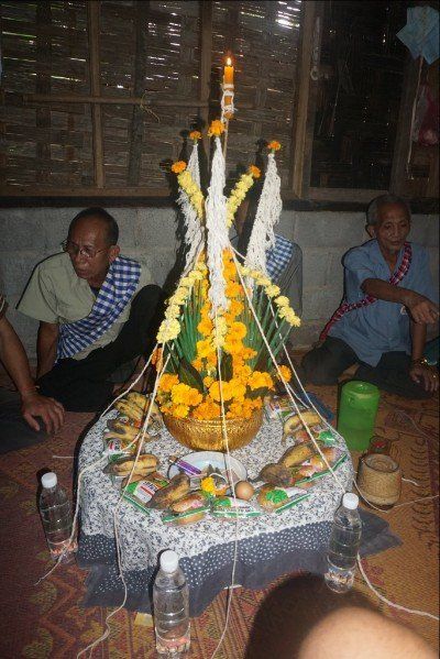 photo (c) Alan M. Davis