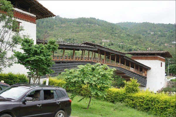 Photo (c) Alan M. Davis