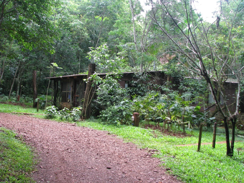 Photo (c) Alan M. Davis