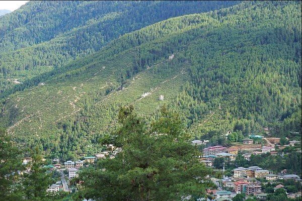 Photo (c) Alan M. Davis