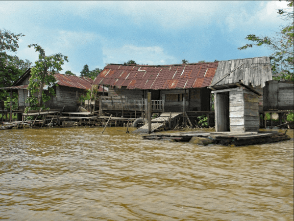 Photo (c) Michael Z. Davis