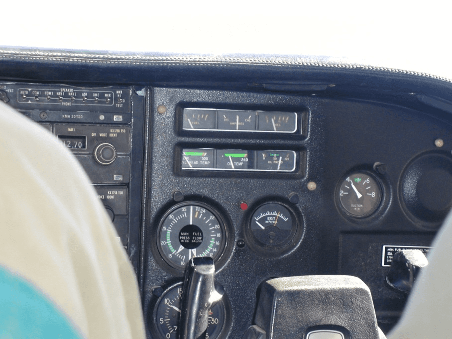 Photo (c) Alan M. Davis