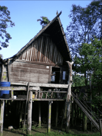 Photo (c) Alan M. Davis