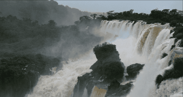 Photo (c) Alan M. Davis