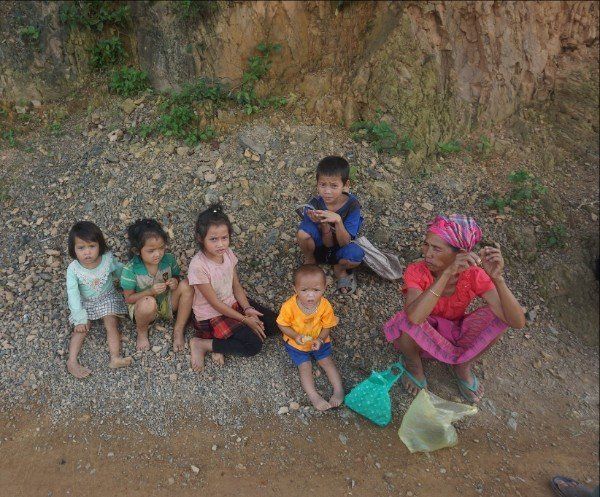 Photo (c) Alan M. Davis