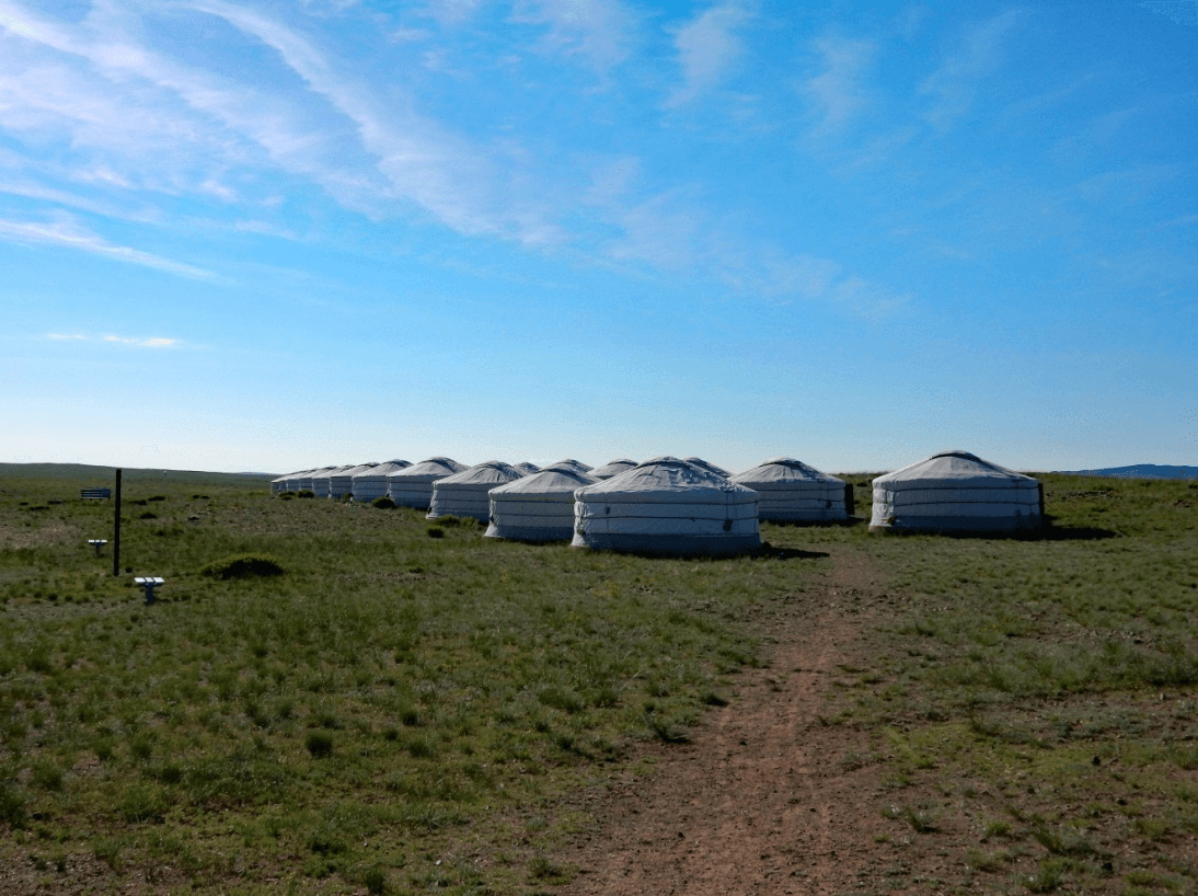 Photo (c) Alan M. Davis