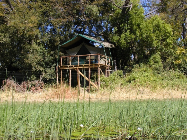 Photo (c) Alan M. Davis