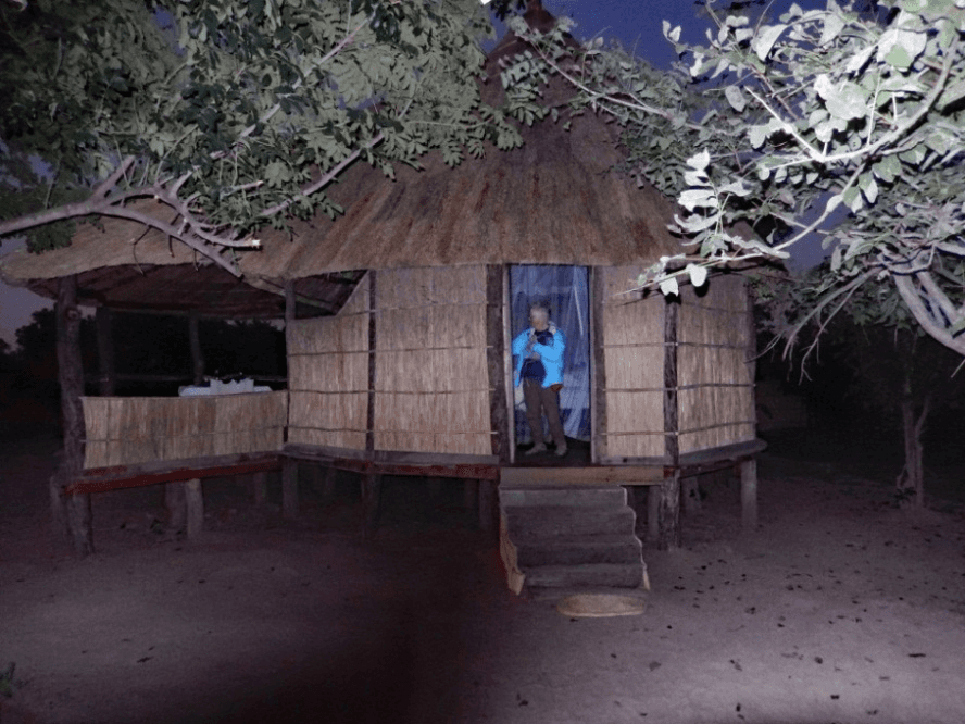 Photo (c) Alan M. Davis