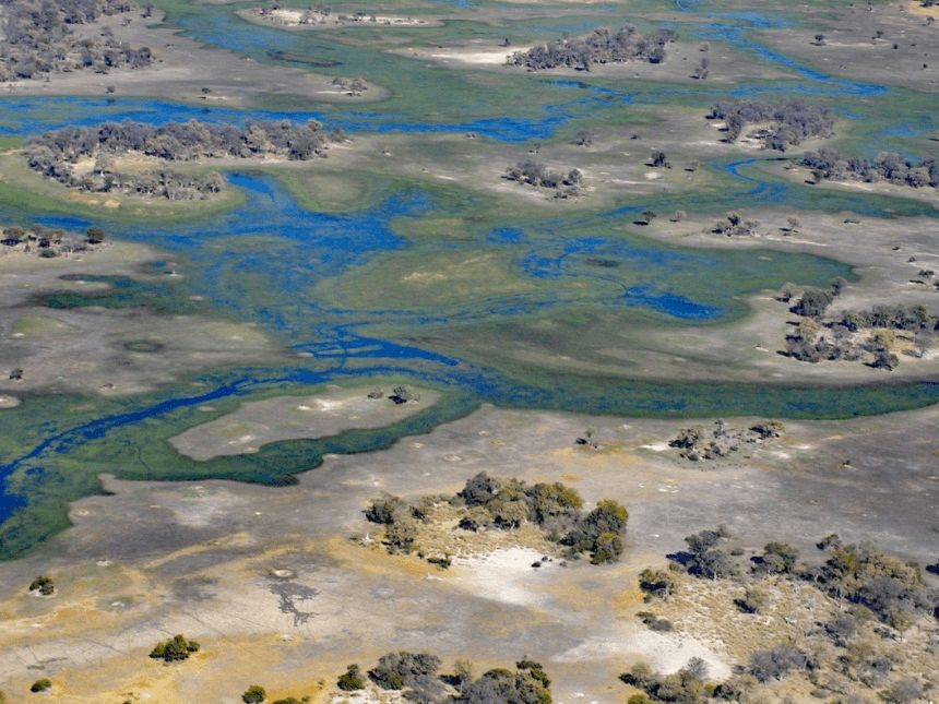 Photo (c) Alan M. Davis