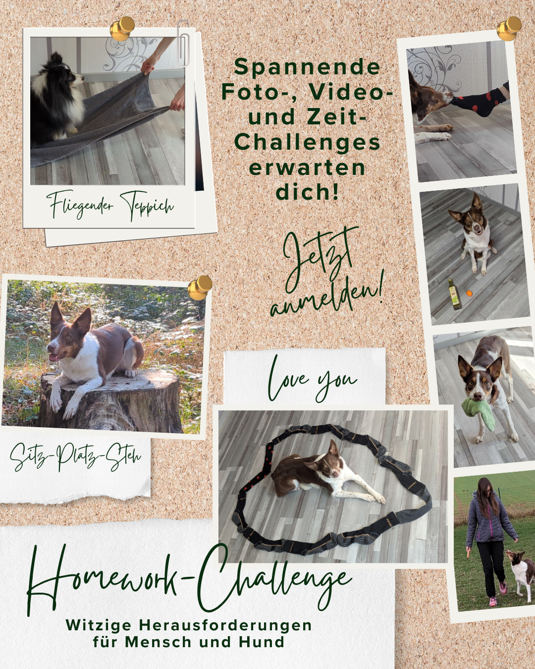 Homework-Challenge