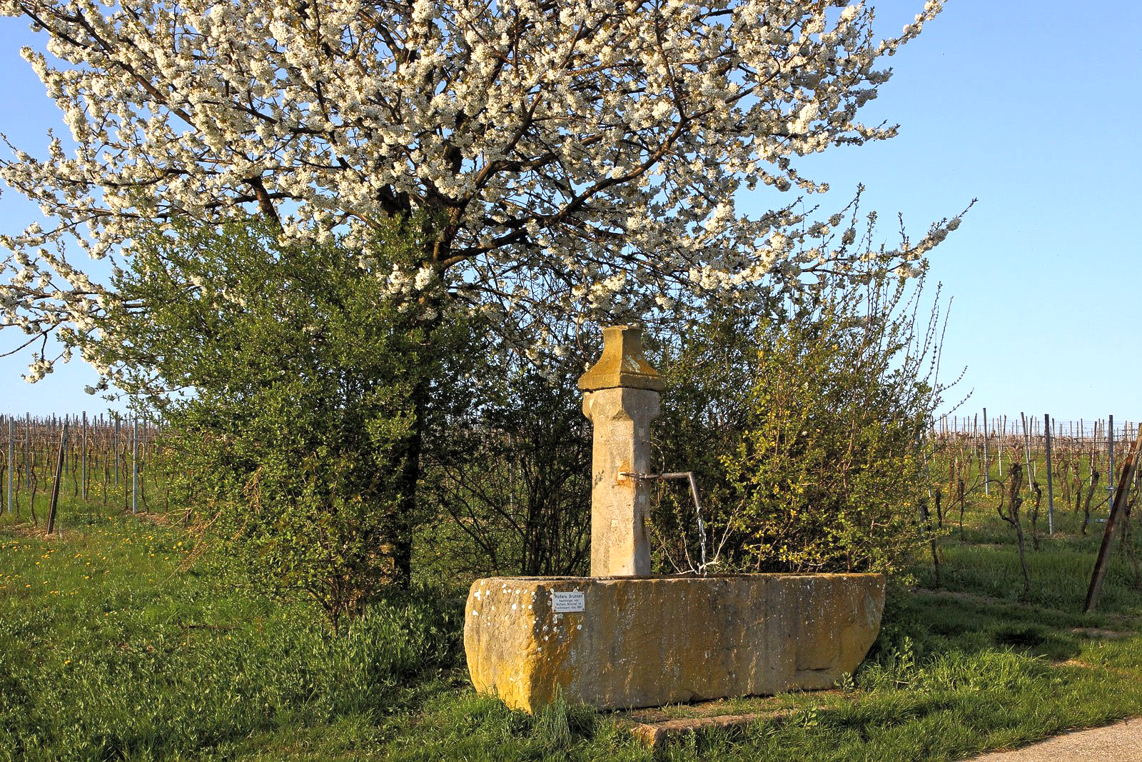Mosers Brunnen am Wegesrand Mosers Brunnen