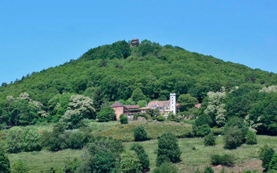 Slevogthof im Hintergrund hoch oben die Aussichtsplattform der Burgruine Neukastell, Nicola Hoffelder, Südliche Weinstrasse Landau-Land e.V.