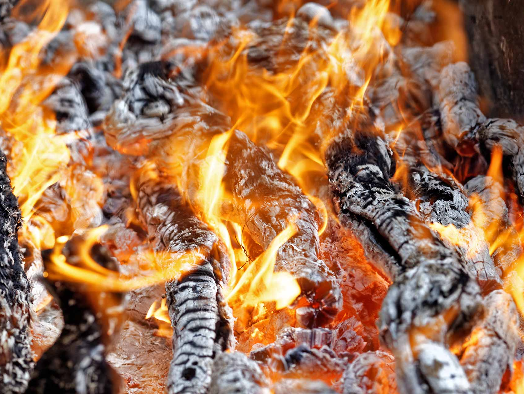 Einstieg zur Gastronomie brennende Rebknorzen