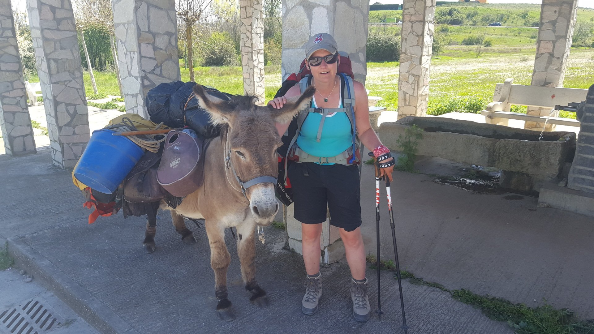 Wanderstöcke, Esel, Packesel, Rosinante, Claudia, Wandern