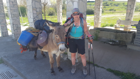 Wanderstöcke, Esel, Packesel, Rosinante, Claudia, Wandern