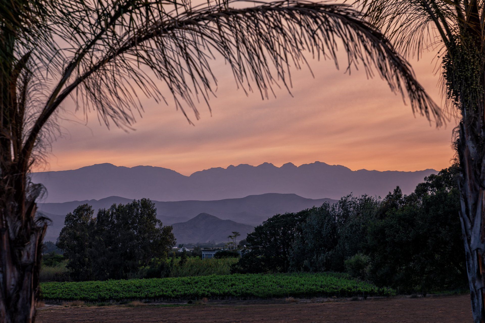 Blick in die Winelands!