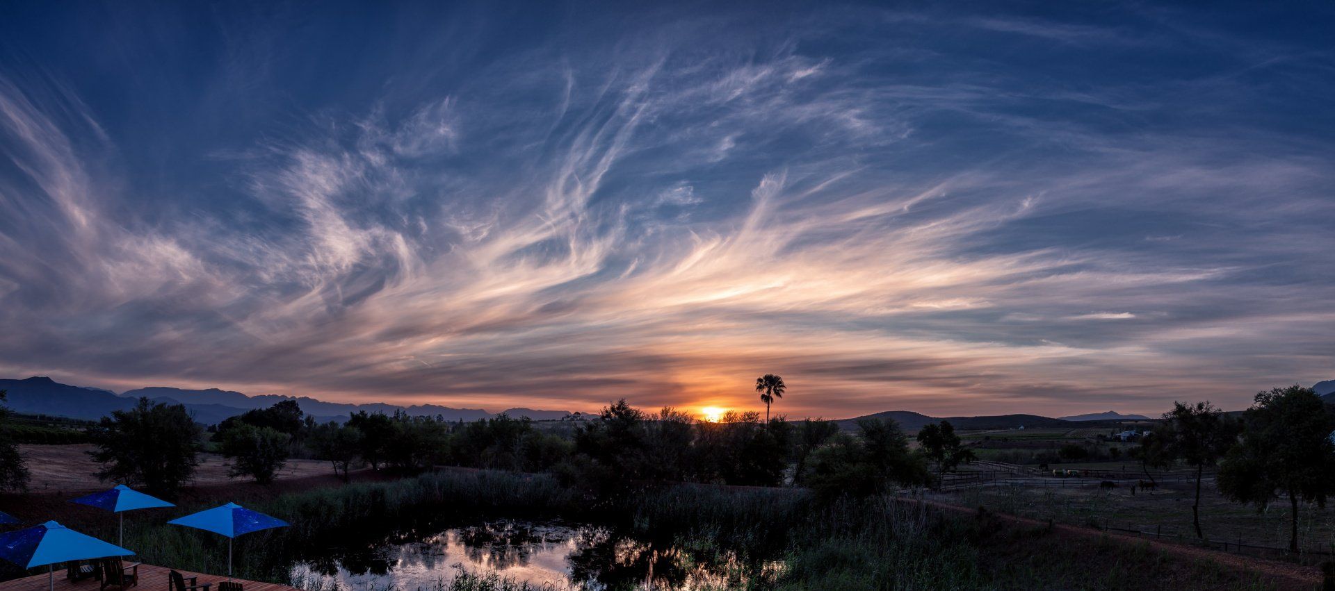 Warten auf das Abendessen!