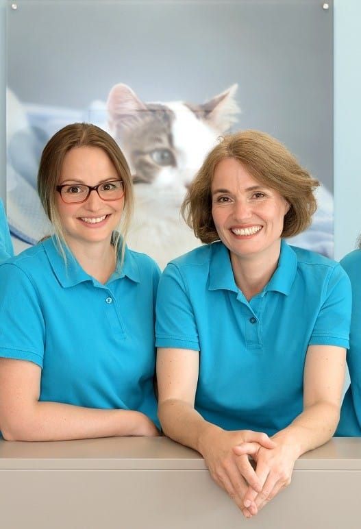 Erfahrene Tierärzte