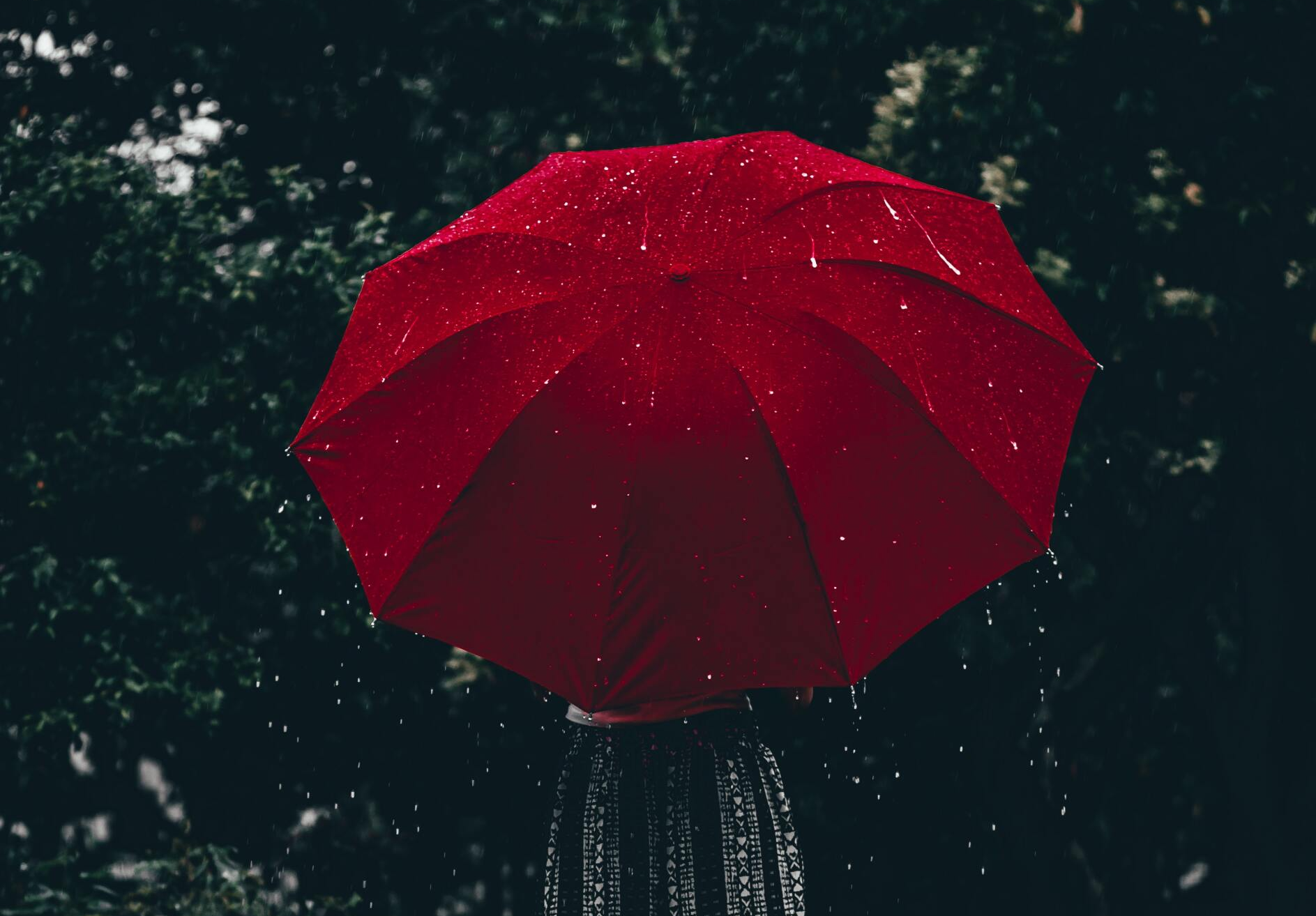 Roter Regenschirm verdeckt eine Person - alles in schwarz weiß bis auf Regenschirm