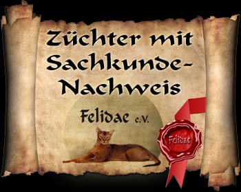 BKH, BKH Katze, BKH Kitten, Britisch Kurzhaar Katzen, BKH Kitten, Britisch Kurzhaar Kitten, BKH Blue, BKH Züchter, BKH Züchter Niedersachsen, BKH Züchter Deutschland, Britisch Kurzhaar Züchter Deutschland, BKH Züchter NRW, BKH vom Züchter, Britisch Kurzhaar Kitten vom Züchter, BKH Baby, Britisch Kurzhaar Blue, BKH Lilac, Britisch Kurzhaar Lilac, BKH Lilac Kitten, Britisch Kurzhaar Lilac Kitten, BKH Black Silver Tabby Classik, Britisch Kurzhaar Black Silver Tabby Classik, Britisch Kurzhaar Lilac Weiß, BKH Weiß, BKH HCM frei, Whiskas Katze.