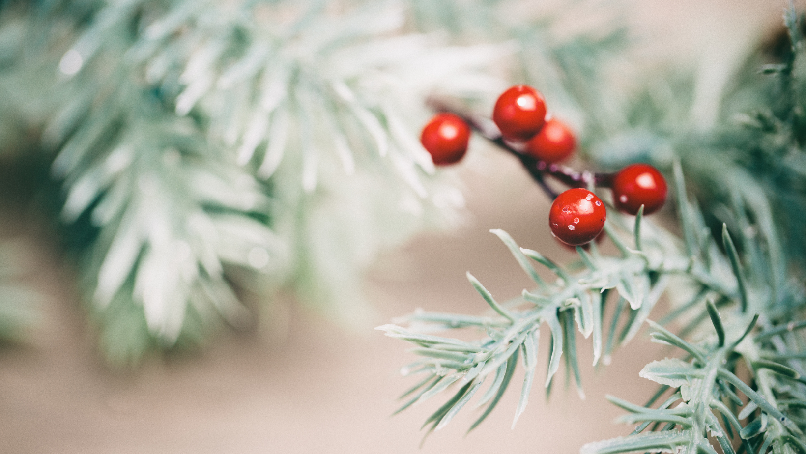 Annette Dold | Führungskultur | Organisationsberatung, Führungskräfteentwicklung & Coaching