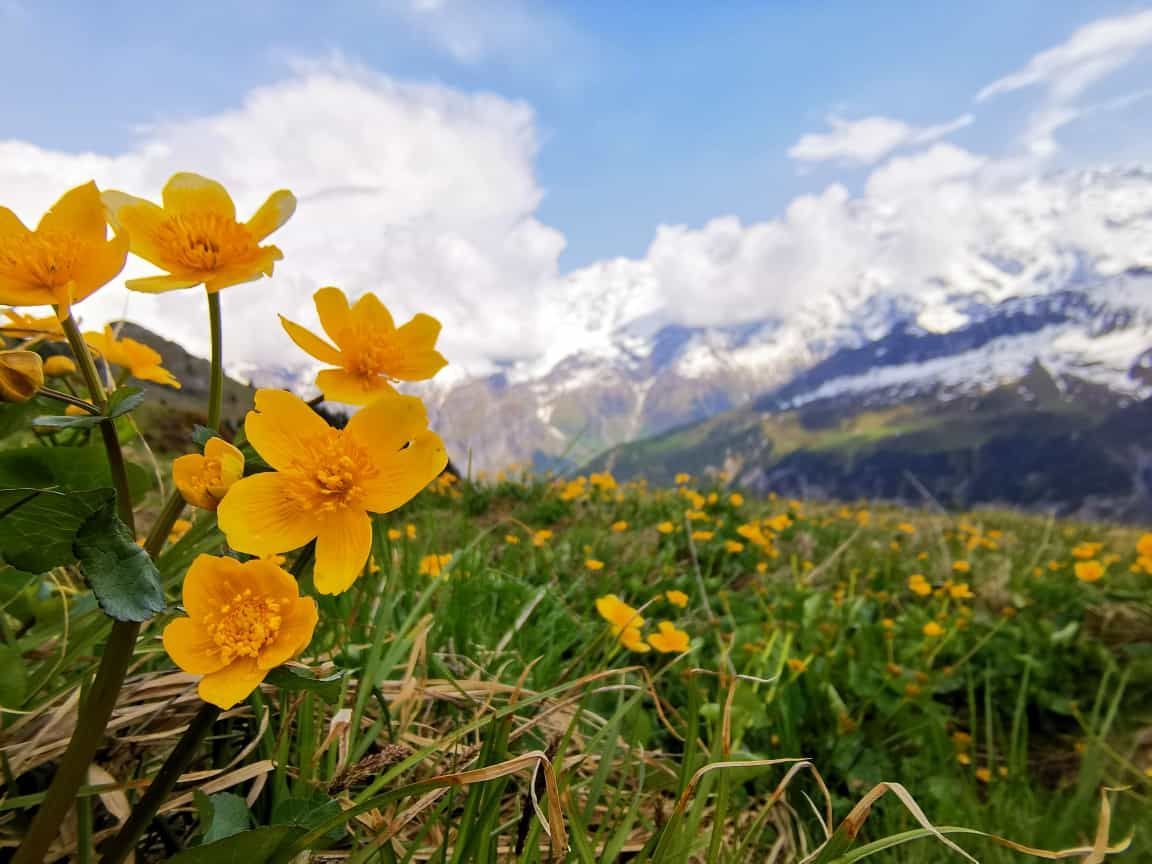 Annette Dold | Führungskultur | Leadership, Organisationsberatung & Coaching