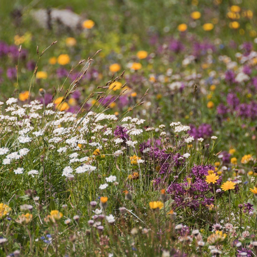Annette Dold | Führungskultur | Leadership, Organisationsberatung & Coaching