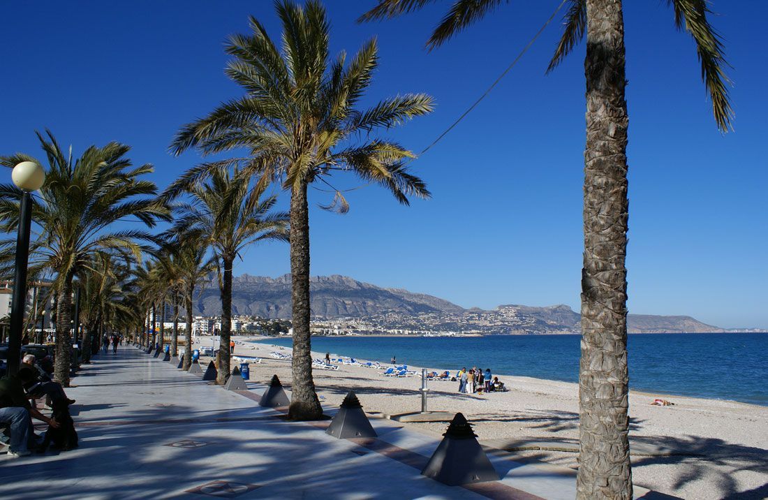 Albir