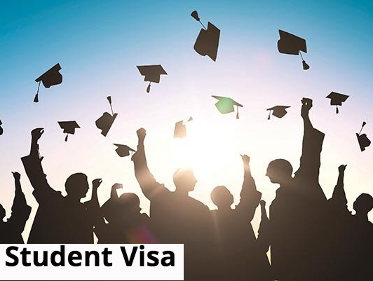 Student Visa Student Visa (including Graduate visas)