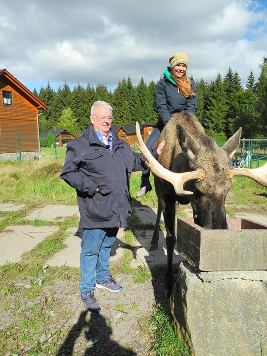 KiKa anna und die wilden tiere mit elch norbert