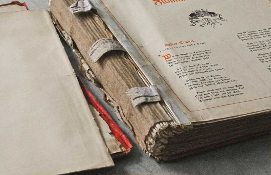 Das Bild zeigt ein sehr zerlesenes Buch kaputter Buchrücken